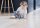 Dyson V8 Cordless and Casdon Kids Vacuum Cleaner with Sound Effects 71cm