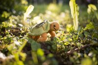 Cute Plush Turtle Keychain Hilde with Carabiner by MJSS
