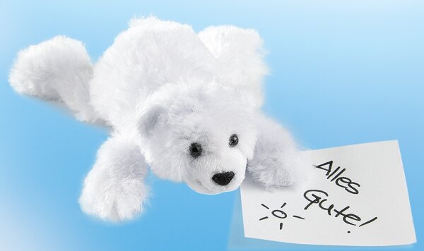 Niedlicher Magnet-Plüsch Eisbär Knut von Schaffer - Hochwertig und Kuschelig