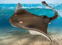 Tech RC Stingray 2.4 GHz with LED Lights and Remote for Night Fun