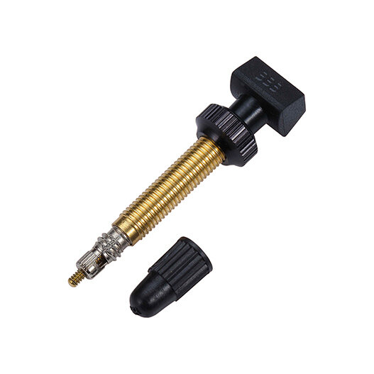 Tubeless valve removable 48mm 2 pieces