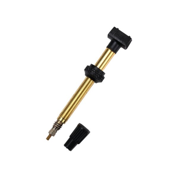 Tubeless valve removable 60mm 2 pieces