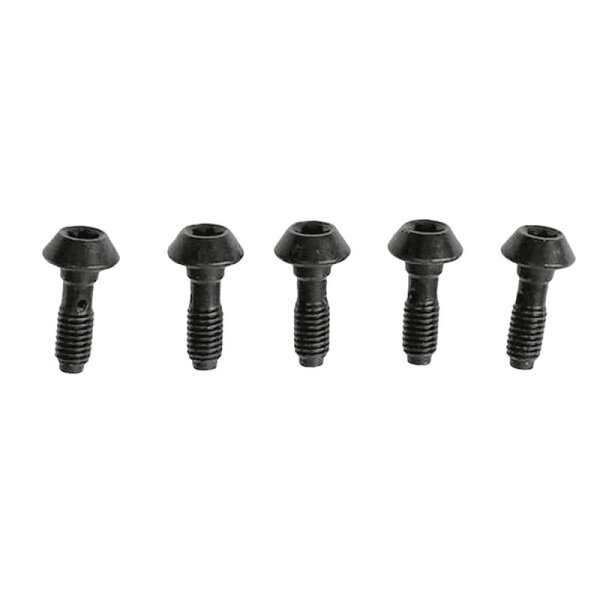 Hohlschraube für alle MT-Bremssättel mit drehbarem Leitungsanschluss 5 Stk.