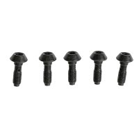 Hohlschraube für alle MT-Bremssättel mit...