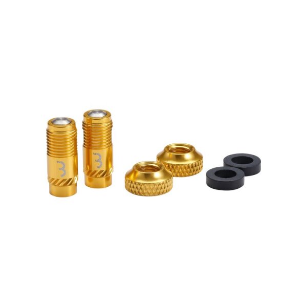 Presta corecap gold 2 Stück Schrader Pumpe kompatibel +300% Airflow