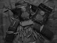 MagRipper Polymer Stripper Clips 30er Pack für NATO STANAG AR Magazine